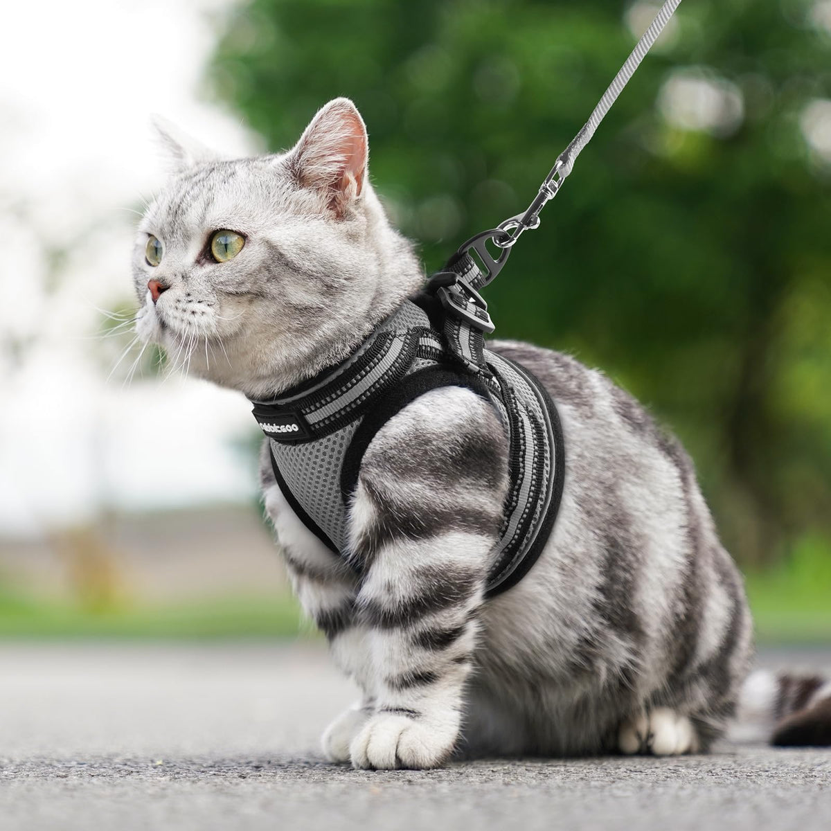 rabbitgoo Animal Harness in M, Grey