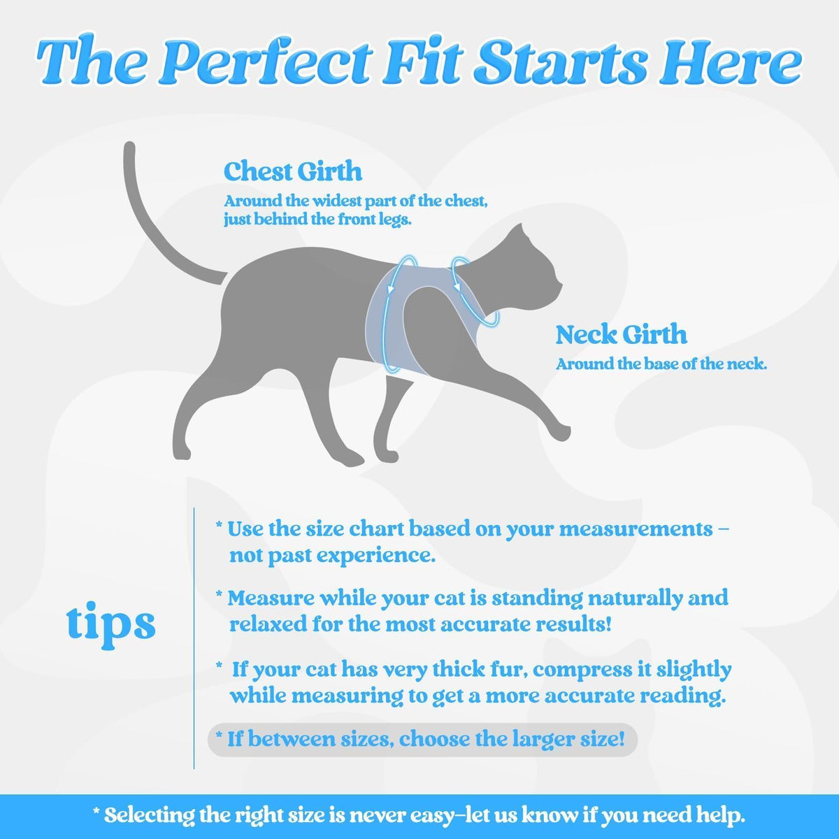 rabbitgoo Animal Harness in M, Light Blue