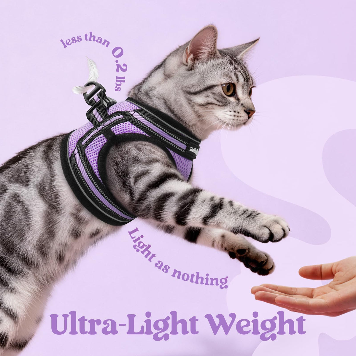 rabbitgoo Animal Harness in M, Light Purple