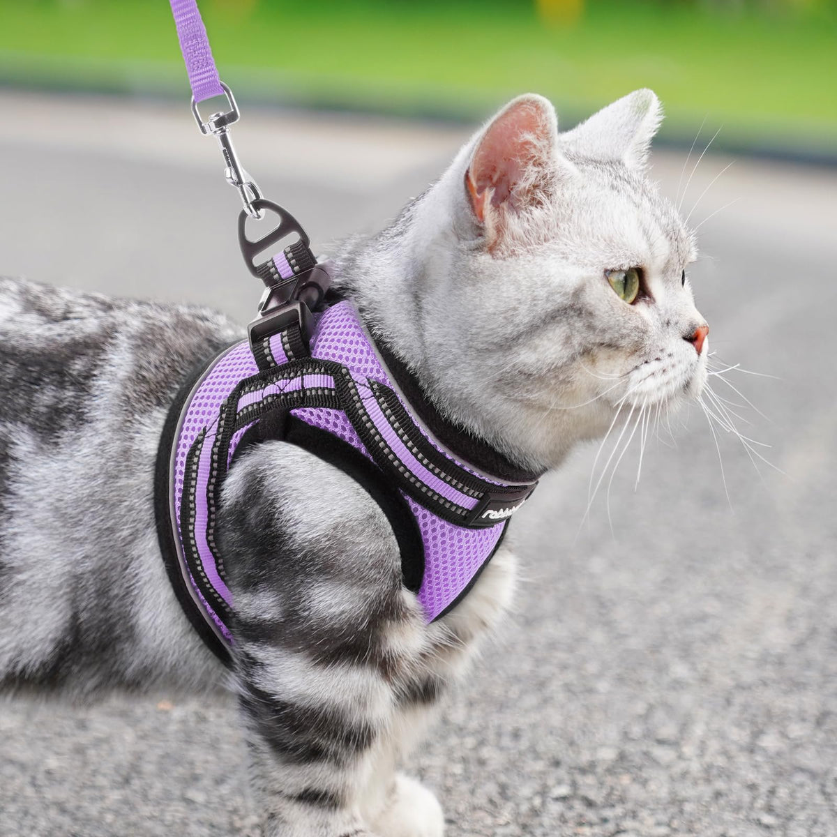 rabbitgoo Animal Harness in M, Light Purple