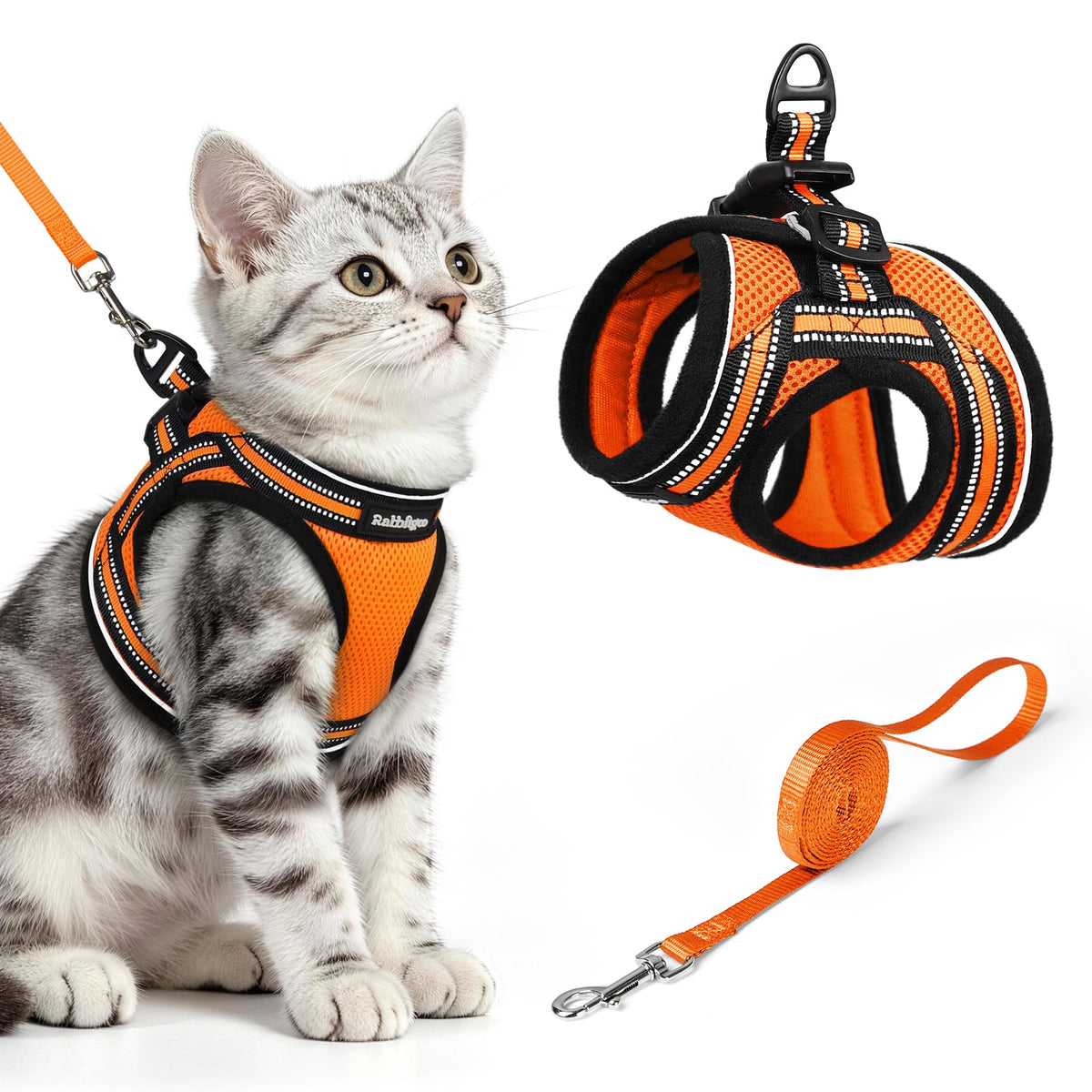 rabbitgoo Animal Harness in M, Orange