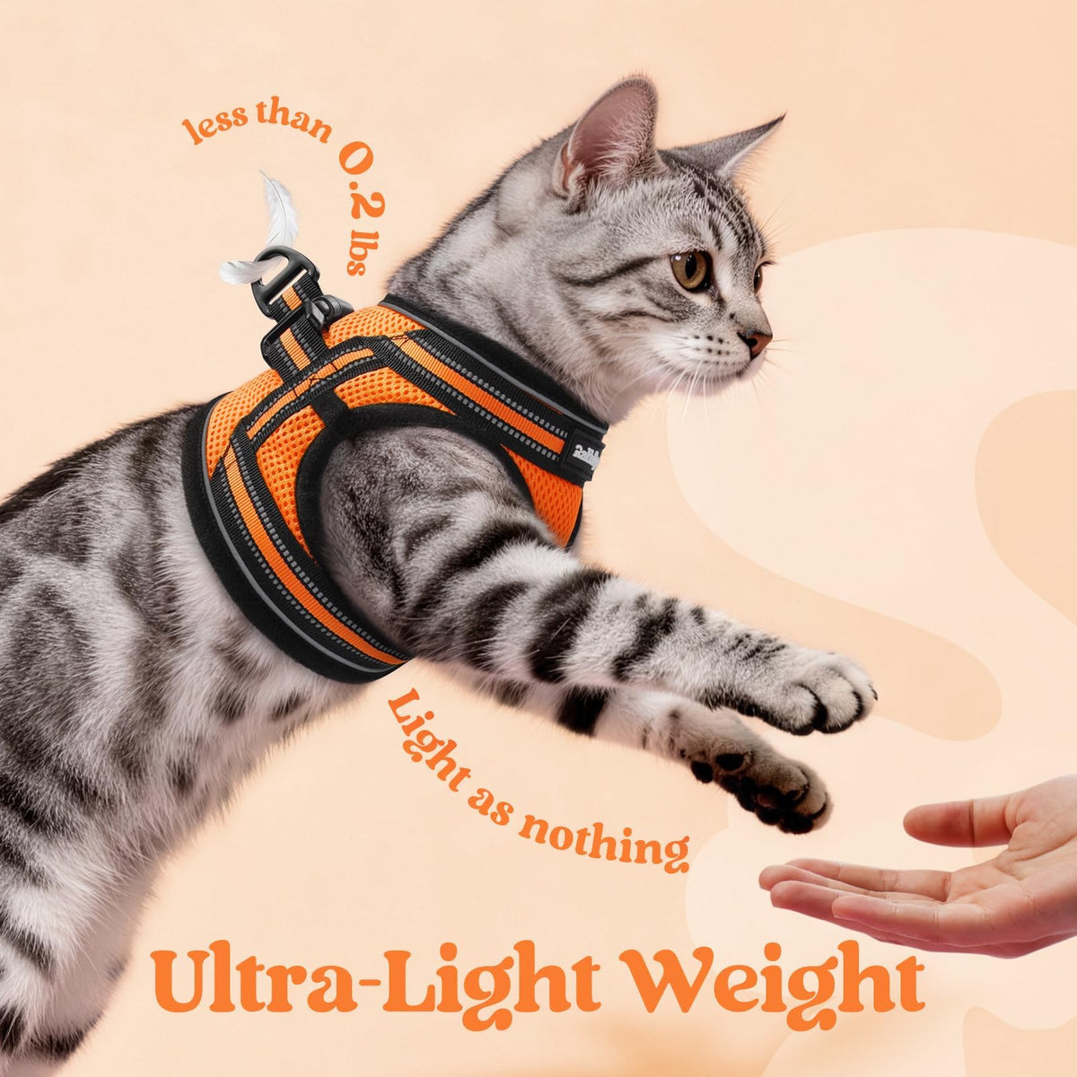 rabbitgoo Animal Harness in M, Orange