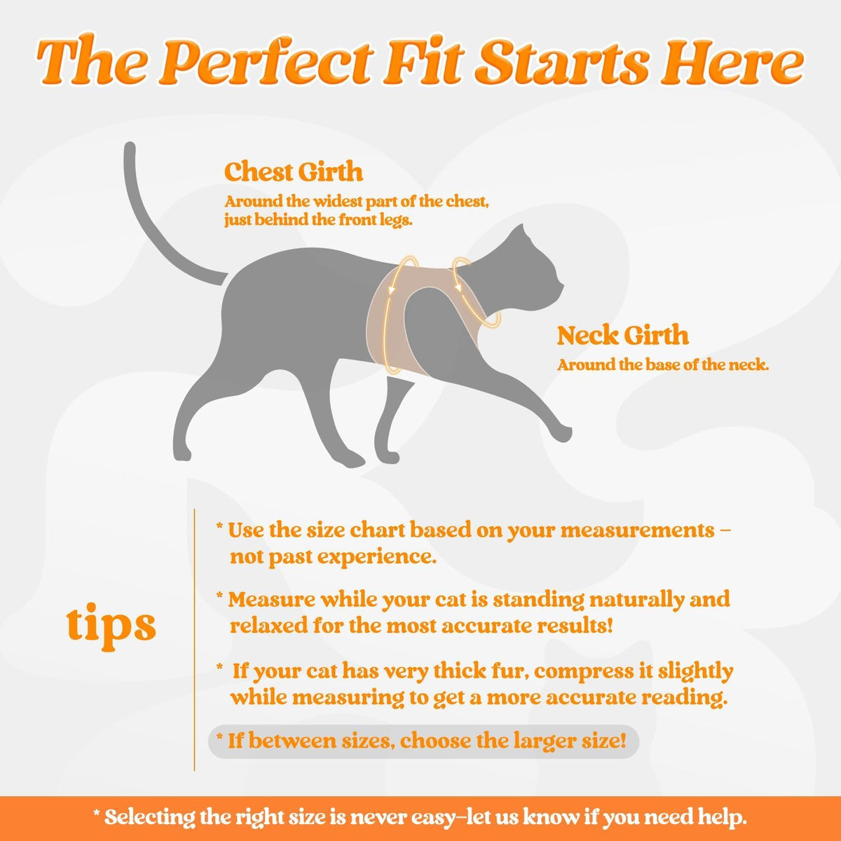 rabbitgoo Animal Harness in M, Orange
