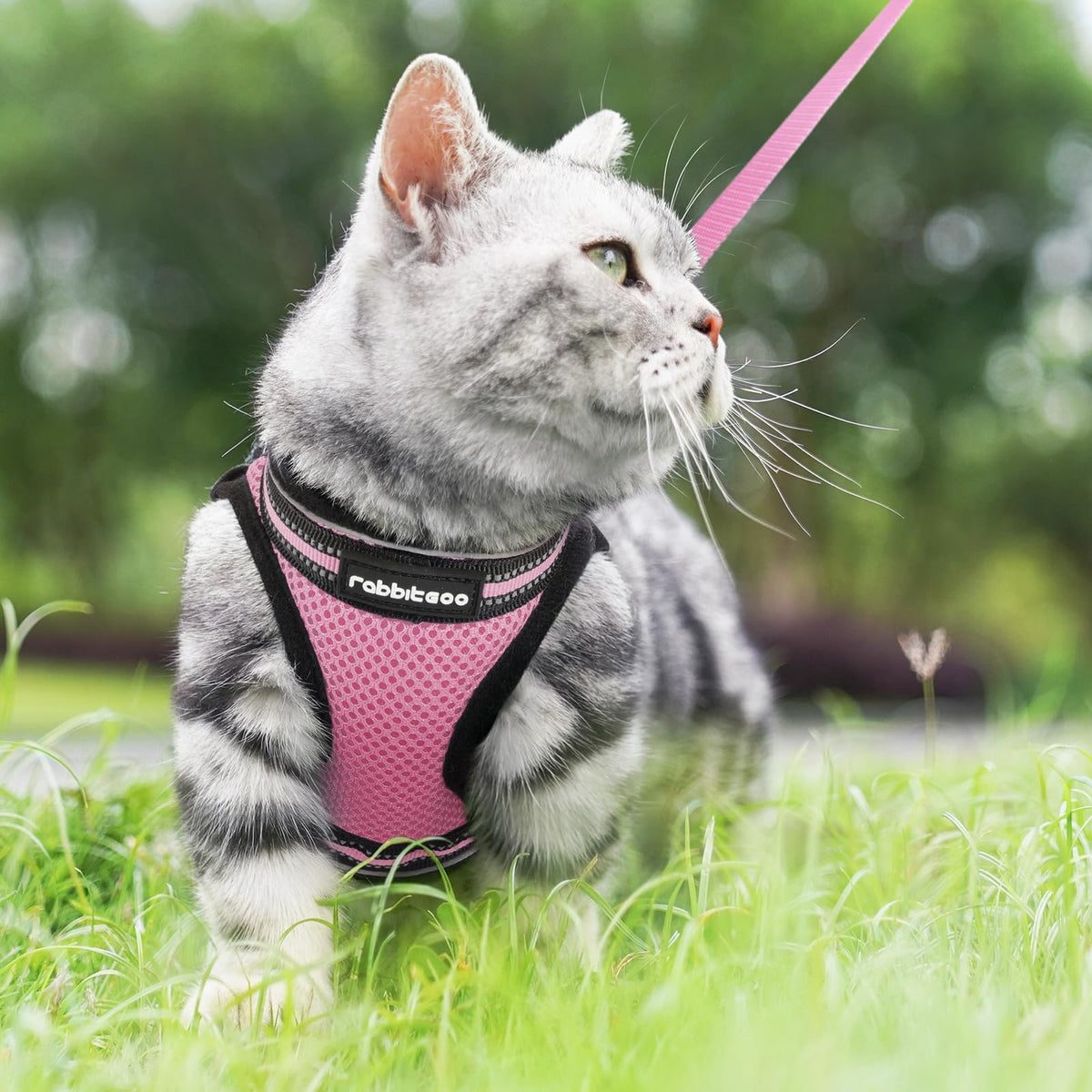rabbitgoo Animal Harness in M, Pink