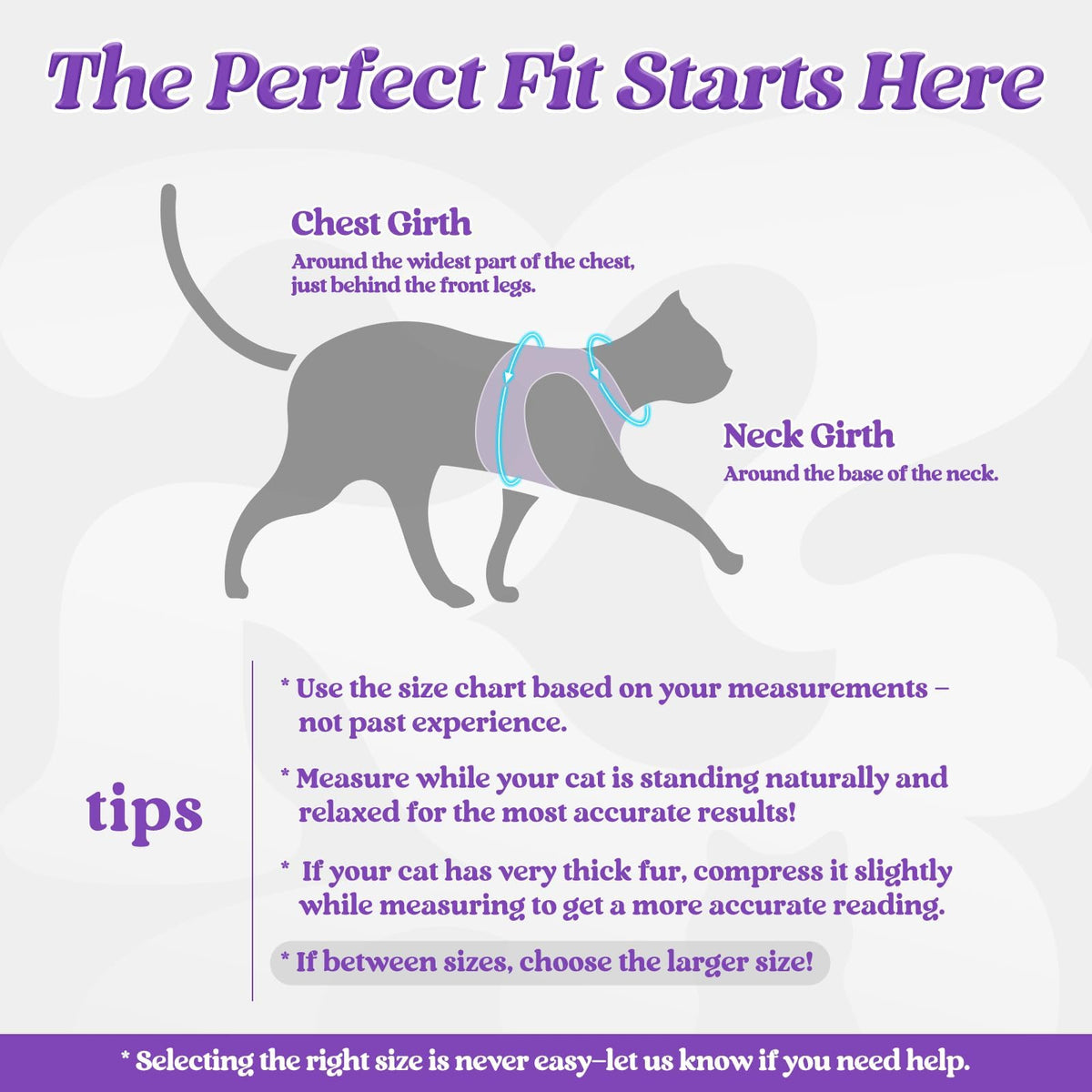 rabbitgoo Animal Harness in M, Purple