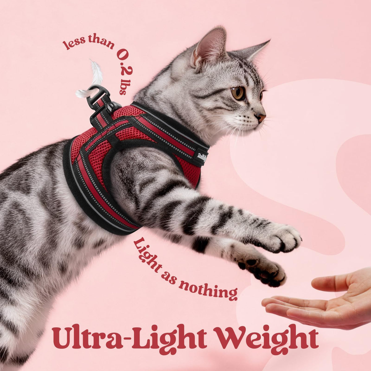 rabbitgoo Animal Harness in M, Red