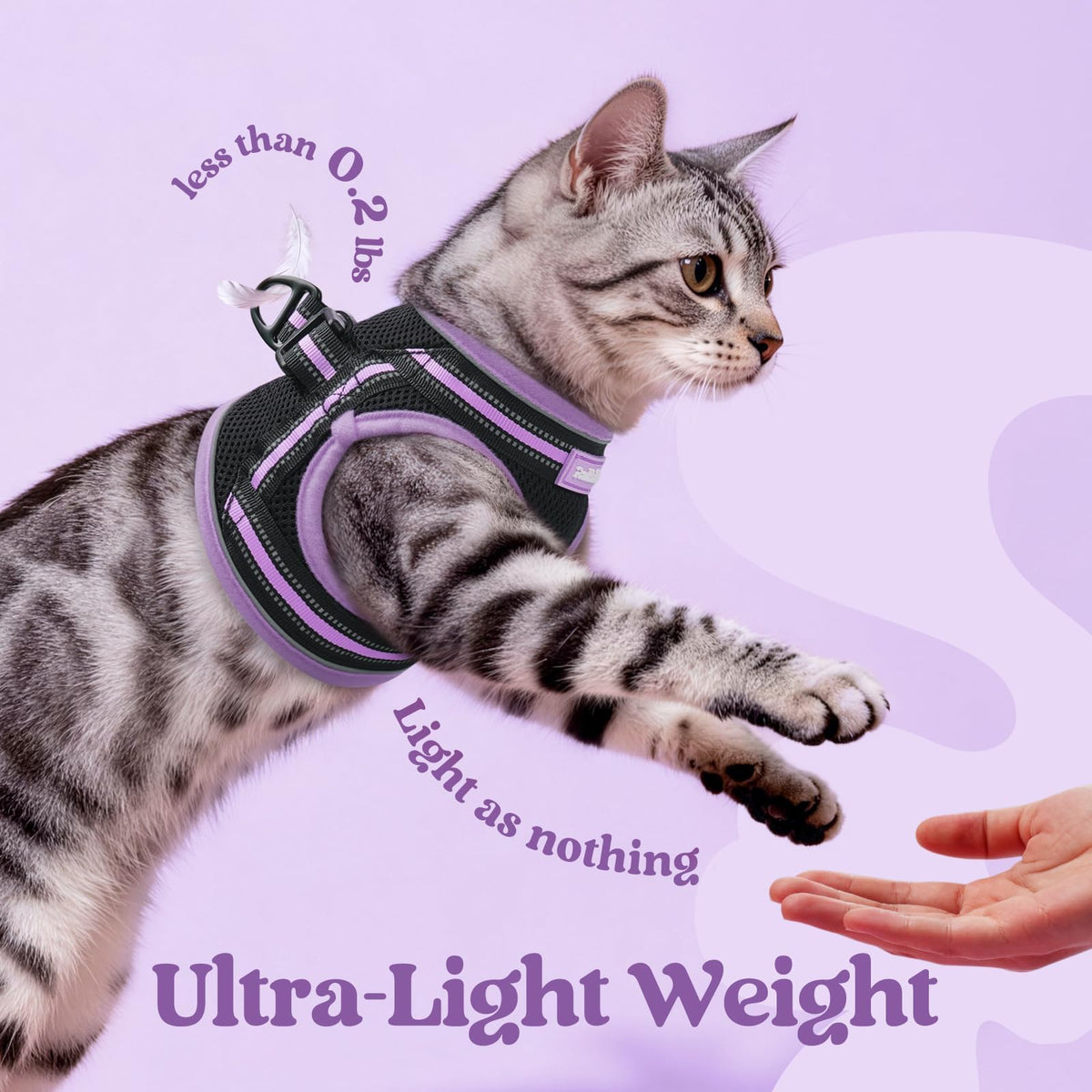 rabbitgoo Animal Harness in S, Black-Light Purple