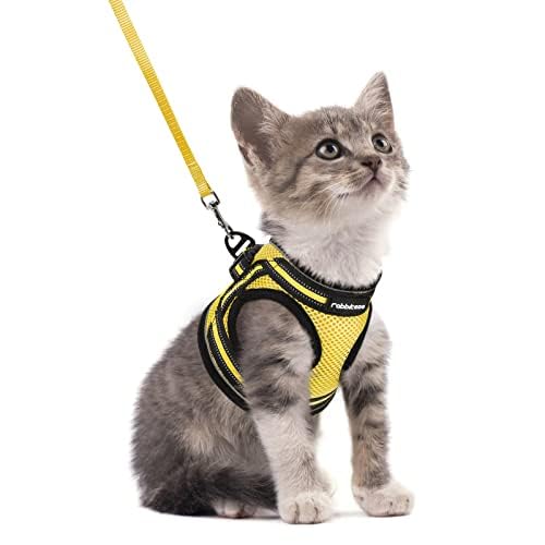 rabbitgoo Animal Harness in S, Bright Yellow