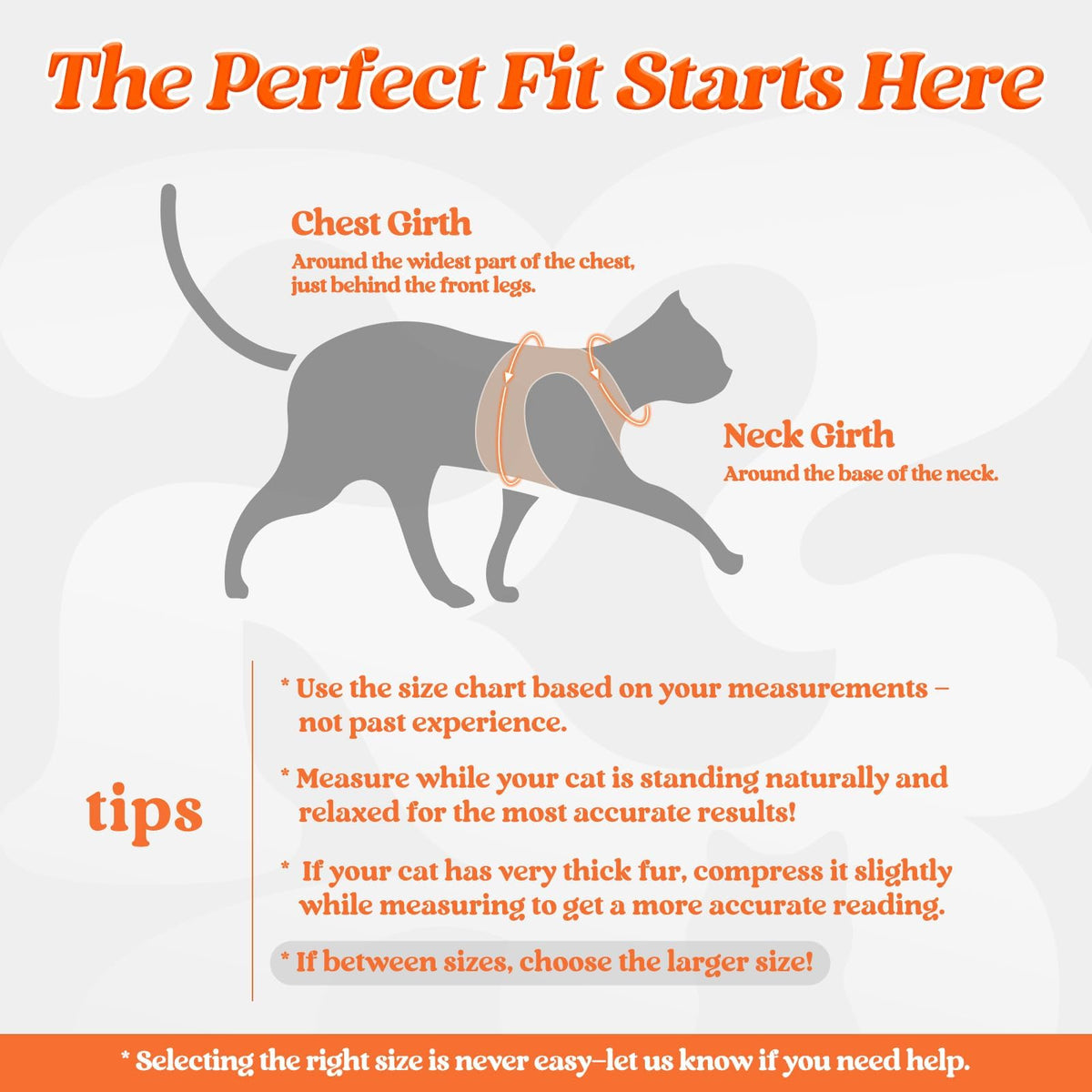 rabbitgoo Animal Harness in S, Orange