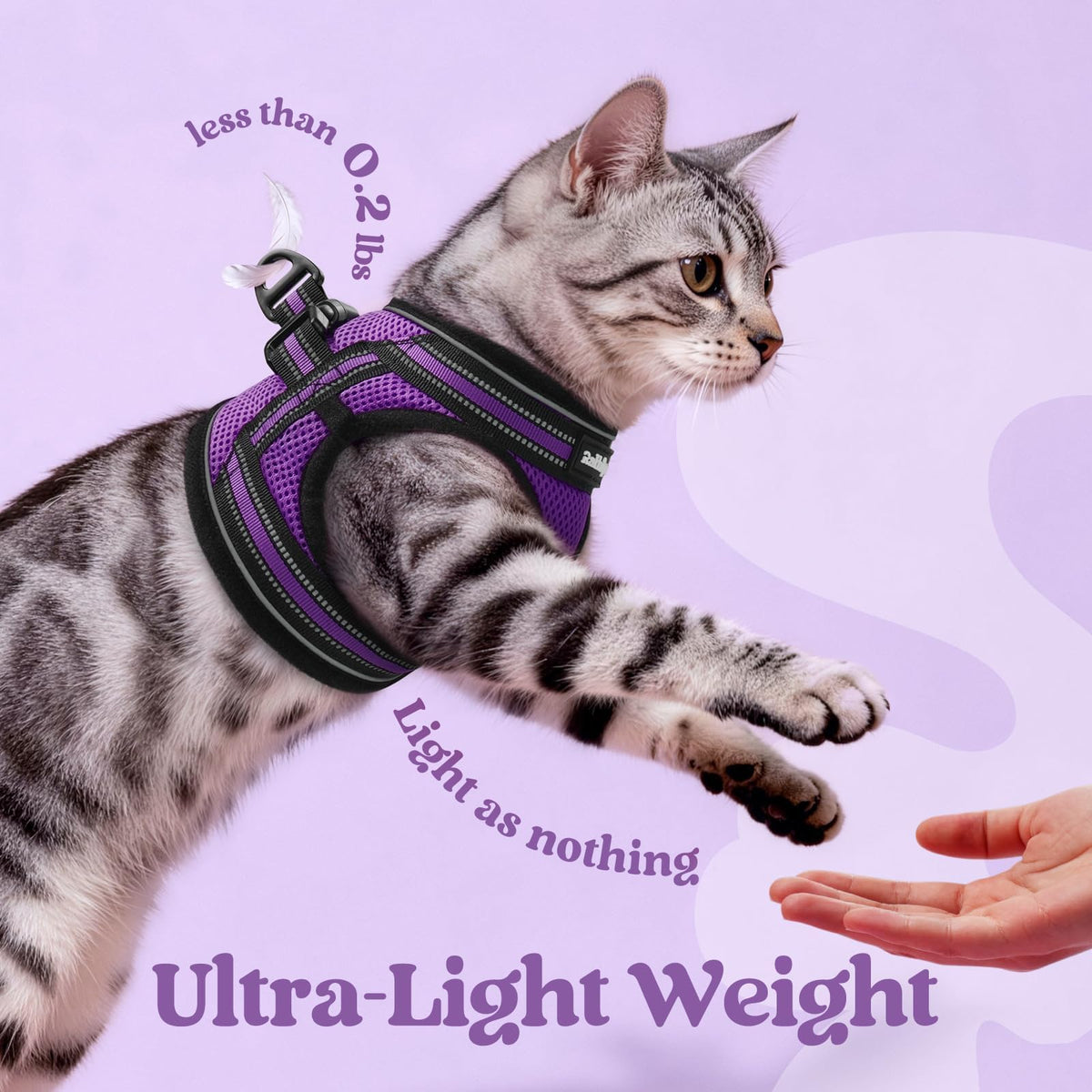 rabbitgoo Animal Harness in S, Purple