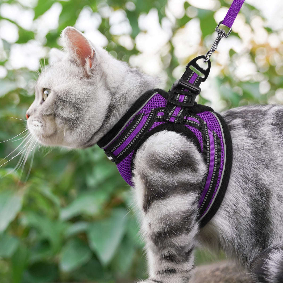 rabbitgoo Animal Harness in S, Purple