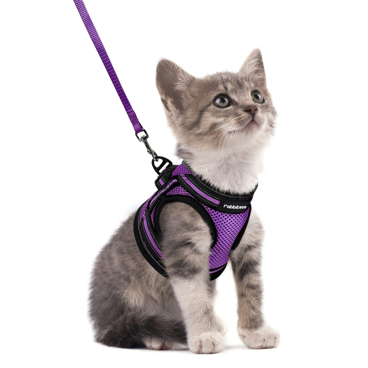 rabbitgoo Animal Harness in S, Purple