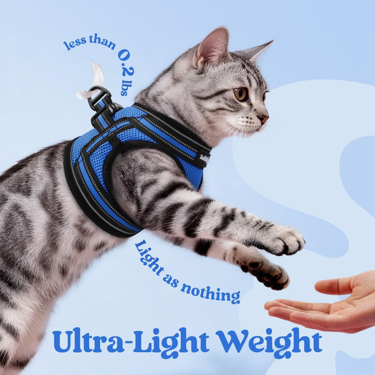 rabbitgoo Animal Harness in XL, Blue