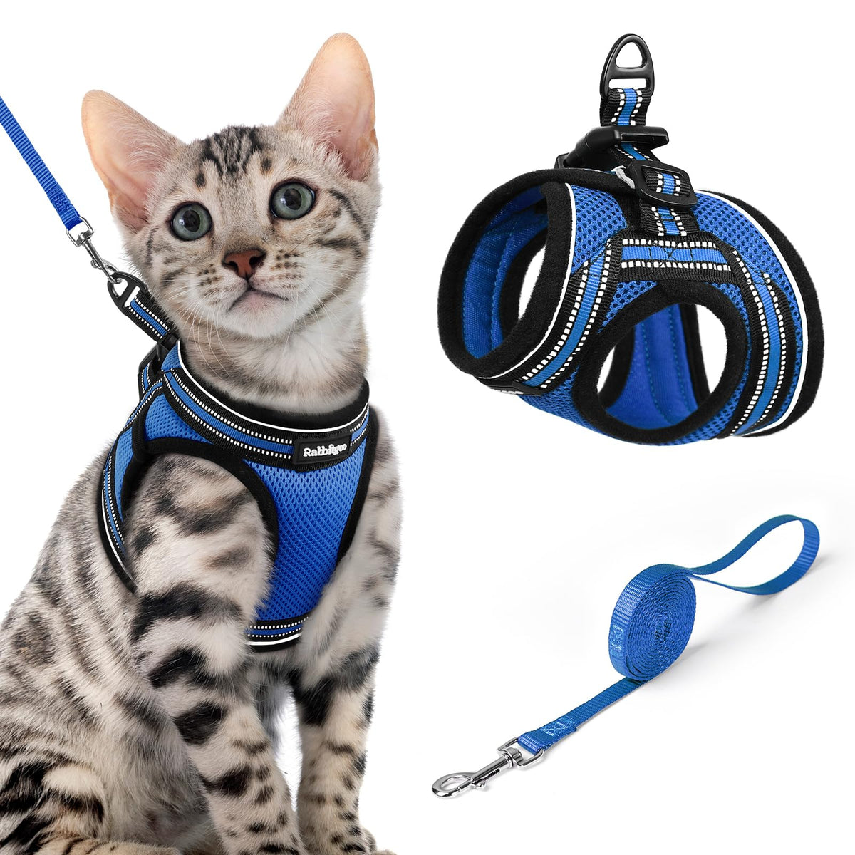 rabbitgoo Animal Harness in XL, Blue